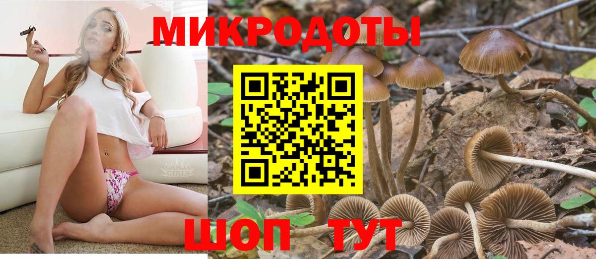 Псилоцибиновые грибы ЛСД Ногинск