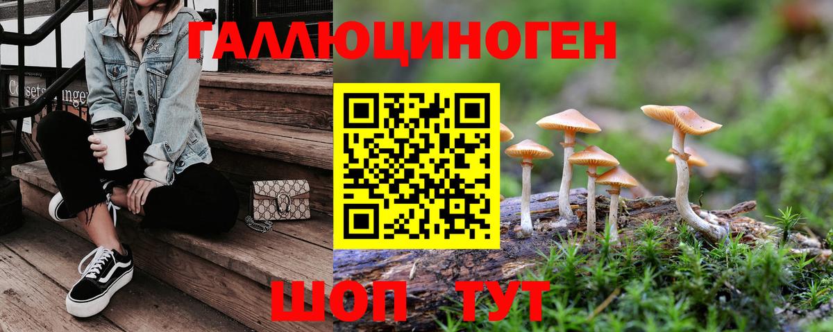 Псилоцибиновые грибы мицелий  Псилоцибиновые грибы Magic Shrooms  Вход с VPN  купить закладку  Ногинск 